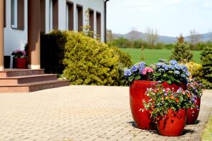 two large red pots filled with flowers on a sidewalk at Hotel BRADA in Jičín