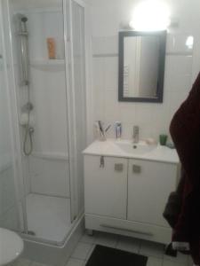 ein Badezimmer mit Waschbecken und Dusche mit Spiegel in der Unterkunft grand studio de plein-pied quartier calme proche centre in La Roche-sur-Yon