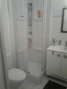 ein Badezimmer mit Dusche, Toilette und Waschbecken in der Unterkunft grand studio de plein-pied quartier calme proche centre in La Roche-sur-Yon