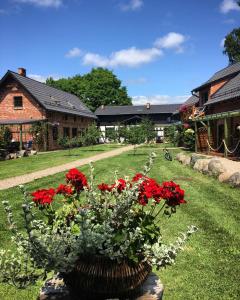 un jarrón lleno de flores rojas en un patio en Hubertówka en Somonino