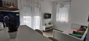 TV a/nebo společenská místnost v ubytování Apartmani Katarina