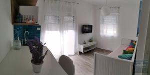 TV a/nebo společenská místnost v ubytování Apartmani Katarina