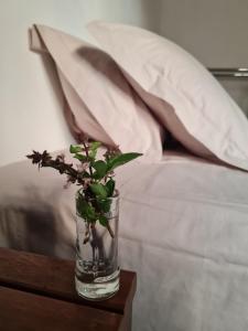 um vaso com uma planta sobre uma mesa ao lado de uma cama em Apartamento lençóis 103 em Lençóis