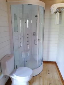 a white bathroom with a shower and a toilet at Quinta Mata da Sé in Miranda do Corvo