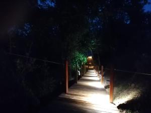 a wooden pathway with a light at night at Quinta Mata da Sé in Miranda do Corvo +39 photos