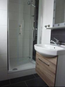 a bathroom with a sink and a shower with a sink at Gästehaus Erle in Memmingen