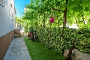 Zahrada ubytování Apartments Ivka
