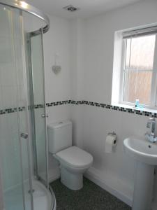 a bathroom with a toilet and a sink and a shower at The Old Staddles Annex in Ludgershall