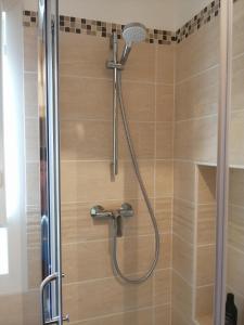 a shower with a shower head in a bathroom at Ravissant studio proche de la Loire in Orléans