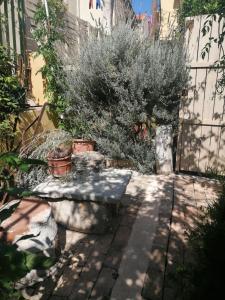 a garden with a bench and some plants at "Eirini" traditional house Creta Archanes, Αρχάνες σπίτι in Archanes