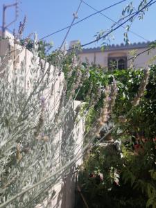 a white fence with some plants on it at "Eirini" traditional house Creta Archanes, Αρχάνες σπίτι in Archanes