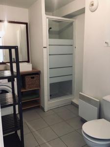 a bathroom with a shower and a toilet and a mirror at Colibri Appart' T2 au coeur du Bassin d'Arcachon in Gujan-Mestras +31 photos