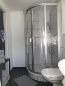 a bathroom with a shower and a toilet and a sink at city roof in Teterow