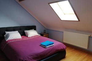 a bedroom with a bed with a purple blanket and a skylight at DOLCE VITA : maison 4 chambres in Anzin