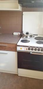 Kuchyň nebo kuchyňský kout v ubytování Apartment PER DAY + 21 fotografií