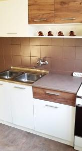 Kuchyň nebo kuchyňský kout v ubytování Apartment PER DAY