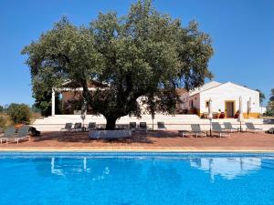 Gallery image of Quinta dos Amarelos in Vaiamonte