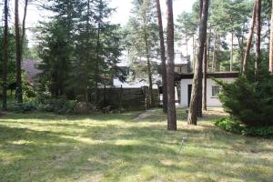 a house in the middle of a yard with trees at Siedlisko jura Florek in Zarki Letnisko