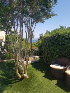 Zahrada ubytování Hotel Villa Maya
