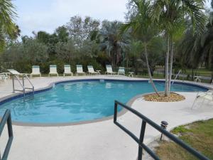 a swimming pool with chairs and a palm tree at Sugarloaf Lodge in Sugarloaf Shores