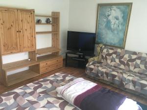 Μια τηλεόραση ή/και κέντρο ψυχαγωγίας στο Casa Pelerinului +35 φωτογραφίες