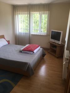 Μια τηλεόραση ή/και κέντρο ψυχαγωγίας στο Casa Pelerinului