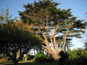 Fotografie z fotogalerie ubytování Trelawne Hotel v destinaci Falmouth