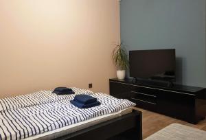 Posteľ alebo postele v izbe v ubytovaní Gremi Apartman