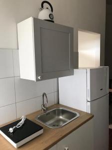 een kleine keuken met een wastafel en een koelkast bij affittacamere alloggio olivo in Empoli