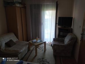 TV a/nebo společenská místnost v ubytování Prenoćište Aleksandar + 12 fotografií