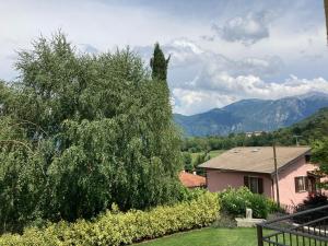 a house and a tree with mountains in the background at Mati's House in Bellagio