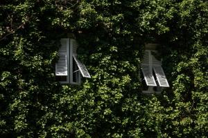 an overhead view of a tree with two shutters at Parkhotel Mondschein, a Member of Design Hotels in Bolzano