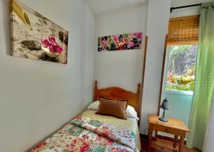 Gallery image of Apartamentos Ana in Tazacorte