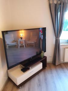 a large flat screen tv sitting in a living room at Schöne Ferien- Monteurswohnung - ruhig und malerisch gelegen in Hofgeismar