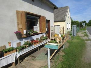 un edificio con un montón de plantas en una ventana en U Tupáčků, en Německé