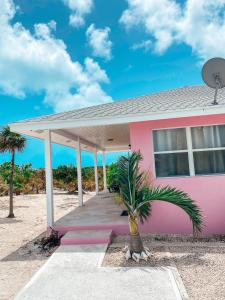 a pink house with a palm tree in front of it at Tropical View Villas in Hartswell