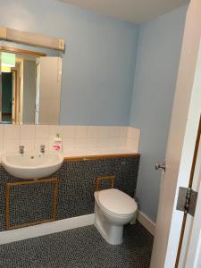 GREENWICH CENTRE NKY APARTMENT في لندن: حمام مع مرحاض ومغسلة