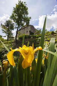 Afbeelding uit fotogalerij van Gli Appartamenti Di Torre Bertona in Todi
