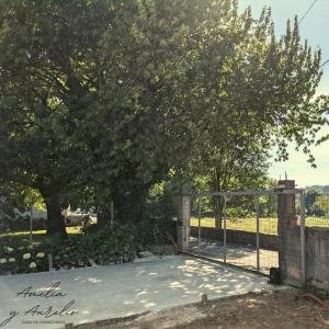 a gate in a yard with a tree at Amelia y Aurelio, casa de peregrinos in Mellid