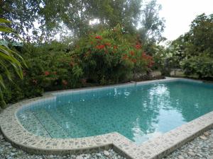 a large swimming pool with rocks and red flowers at Rumah Sawah in Yogyakarta