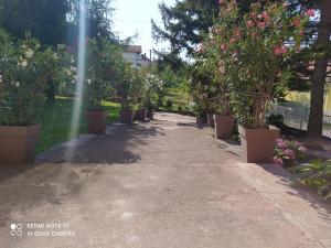 Aed väljaspool majutusasutust Apartment & Rooms Aleksandar
