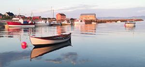 a group of boats in the water near a harbor at Lille Chili Guesthouse in Jakobselv