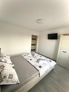 una camera con un grande letto e una TV di Apartament Livia a Jurilovca