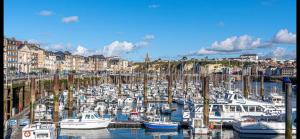 a bunch of boats are docked in a harbor at Le famillial , 2 chambres, 4 lits double Avec parking PRIVE 1 VOITURE, NETFLIX, DISNEY PLUS DISPONIBLE in Dieppe