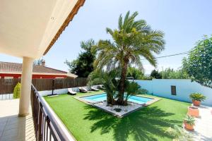 un patio trasero con una palmera y una piscina en Relax en la huerta de Murcia en Murcia