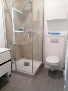 La salle de bains est pourvue d'une douche et de toilettes. dans l'établissement Gîte Le Patio, à Kaysersberg