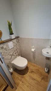 a bathroom with a toilet and a sink at Appartement duplex climatisé avec terrasse "HANSI" in Colmar +9 photos
