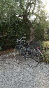 Jízda na kole v ubytování B&B Villa Méditerranée con parking space nebo okolí