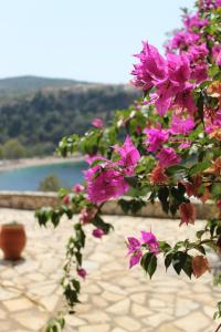 a bush with pink flowers and a view of a body of water at Rocka View in Meganisi