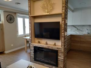 a living room with a fireplace and a tv at EL CAPRICHO - LUJO Y CONFORT EN EL CENTRO con PARKING INCLUIDO in Gijón